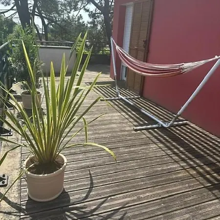 Toit Terrasse A Les Bains דירה